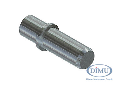 Pin für Umlenkrolle mit Schrägkugellager